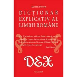 Dictionar explicativ al limbii romane imagine