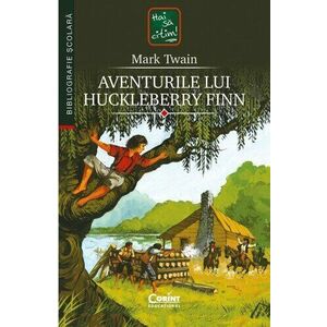 Aventurile lui Huckleberry Finn imagine