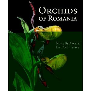 Orchids of Romania imagine