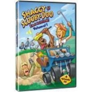 Shaggy si Scooby-Doo fac echipa: Volumul 1 imagine