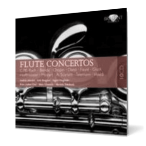 Flute Concertos (10 CD) imagine