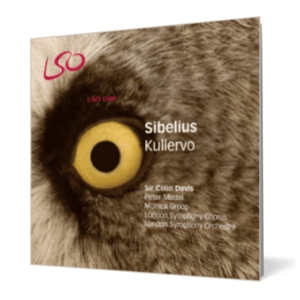 Sibelius - Kullervo imagine