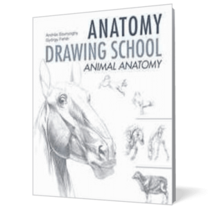 Anatomy drawing school: Animal imagine