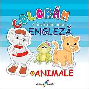 Coloram si invatam limba engleza, Vol. 1: Animale imagine