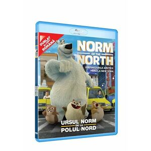 Norm de la Polul Nord / Norm of the North imagine