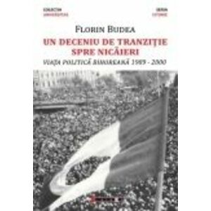 Un deceniu de tranziție spre nicaieri - Viața politica bihoreana 1989-2000 imagine
