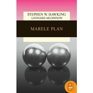 Marele plan/Stephen Hawking imagine