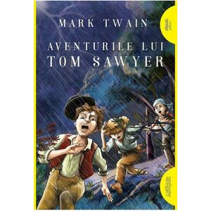 Aventurile lui Tom Sawyer imagine