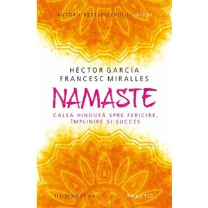 Namaste. Calea hindusă spre fericire, împlinire și succes imagine