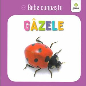 Gazele - Bebe cunoaste imagine