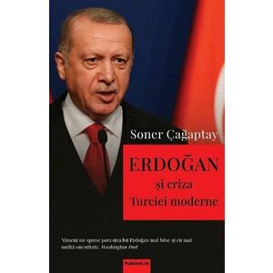 Erdogan si criza Turciei moderne imagine