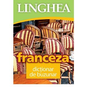 Franceza - dicţionar de buzunar imagine