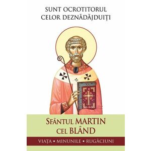 Sfântul Martin cel Blând – Sunt ocrotitorul celor deznădăjduiți. Viața, minunile, rugăciuni imagine