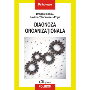 Diagnoza organizationala imagine