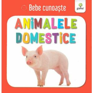 Animalele domestice - Bebe cunoaste imagine