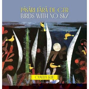Pasari fara de cer/ Birds with no Sky imagine