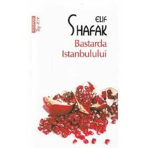 Bastarda Istanbulului | Elif Shafak imagine
