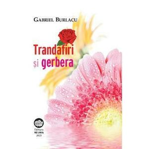 Trandafiri si Gerbera - Gabriel Burlacu imagine