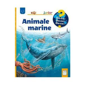 Animale marine - Anita van Saan imagine
