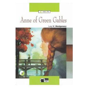 anne of green gables imagine