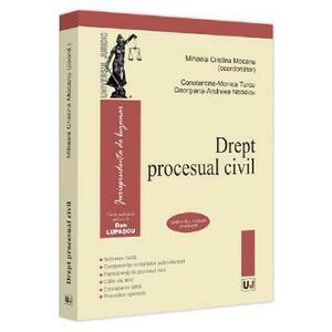 Drept procesual civil. Executarea silită imagine