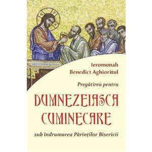 Pregatirea pentru Dumnezeiasca cuminicare - Ieromonah Benedict Aghioritul imagine