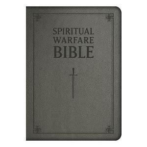 Spiritual Warfare Bible imagine