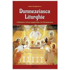 Dumnezeiasca Liturghie - Andrei Dragulinescu imagine