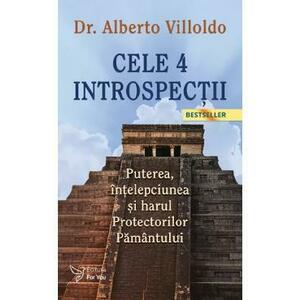 Cele patru introspectii - Alberto Villoldo imagine