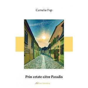 Prin cetate catre Paradis - Camelia Pop imagine