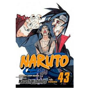 Naruto Vol.43: The Man with the Truth - Masashi Kishimoto imagine