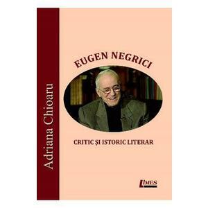 Eugen Negrici, critic si istoric literar - Adriana Chioaru imagine