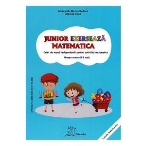 Junior exerseaza matematica - Grupa mare 5-6 ani - Smaranda Maria Cioflica, Daniela Dosa imagine