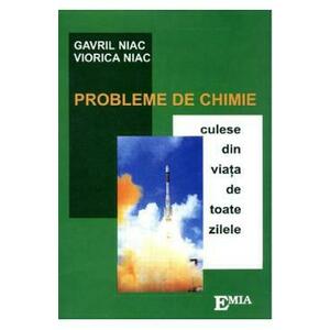 Probleme de chimie culese din viata de toate zilele - Gavril Niac, Viorica Niac imagine