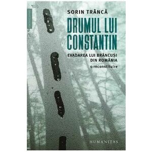 Drumul lui Constantin - Sorin Tranca imagine