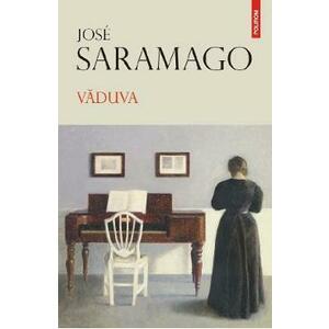 Vaduva - Jose Saramago imagine