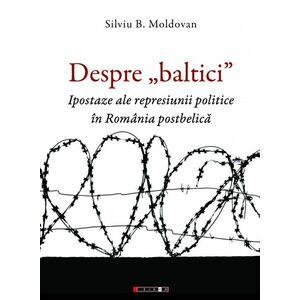 Despre „baltici” | Silviu B. Moldovan imagine