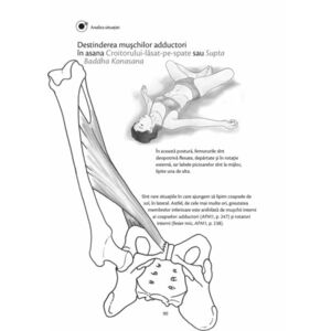 Anatomie pentru yoga imagine