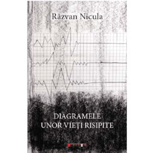 Diagramele unor vieti risipite | Razvan Nicula imagine