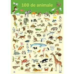 Plansa 100 de animale | Nelson Verlag imagine