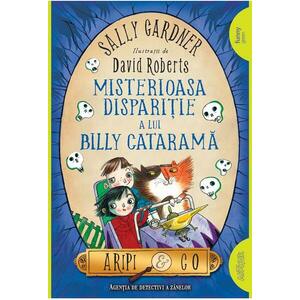 Misteroasa disparitie a lui Billy Catarama | Sally Gardner imagine