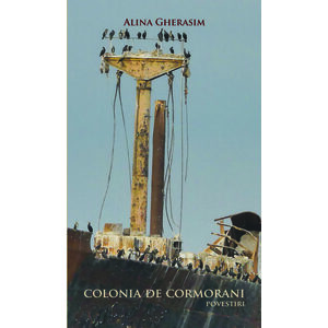 Colonia de cormorani | Alina Gherasim imagine