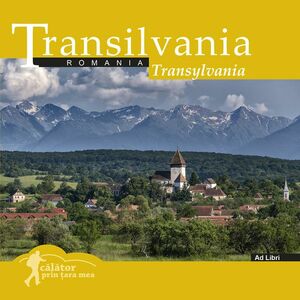 Transilvania | Mariana Pascaru, Florin Andreescu imagine