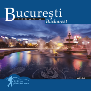 Bucuresti | Mariana Pascaru, Florin Andreescu imagine