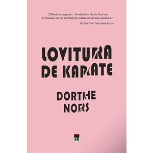 Lovitura de karate | Dorthe Nors imagine