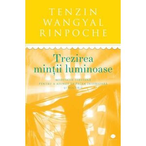 Trezirea mintii luminoase | Tenzin Wangyal Rinpoche imagine
