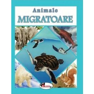 Animale migratoare | imagine
