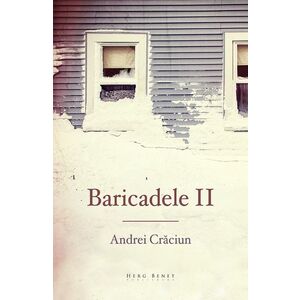 Baricadele II | Andrei Craciun imagine