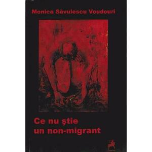 Ce nu stie un non-migrant | Monica Savulescu Voudouri imagine