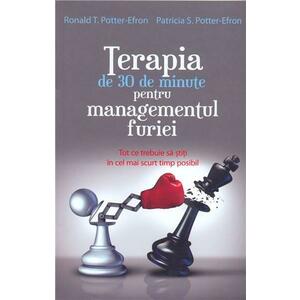 Terapia de 30 de minute pentru managementul furiei | Ronald T. Potter-Efron, Patricia S. Potter-Efron imagine